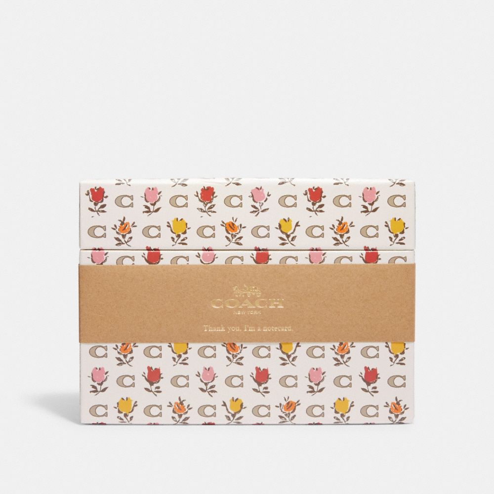 COACH CG763 Boxed Notecards With Badlands Floral Print Chalk Multi