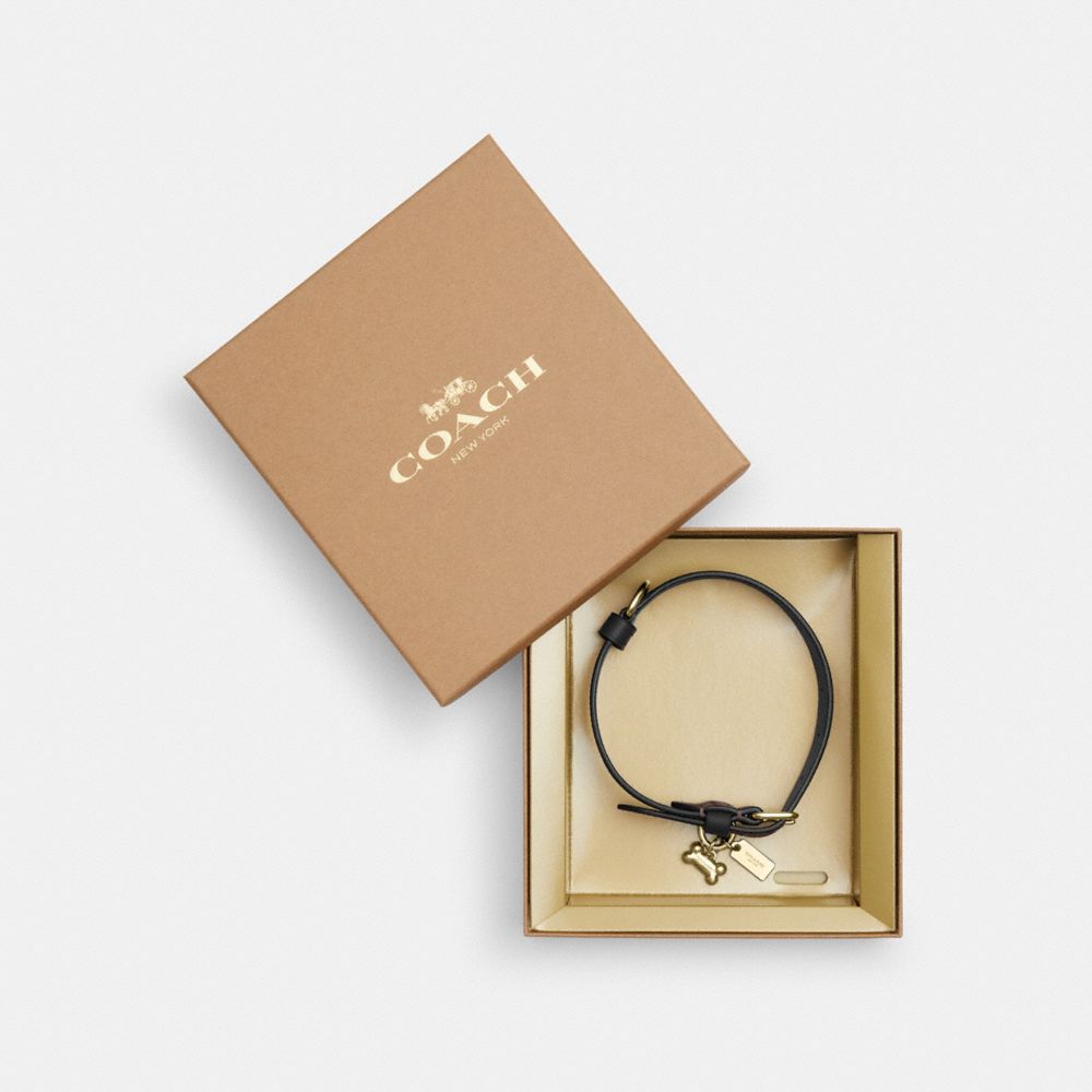 COACH CH146 Boxed Medium Pet Collar In Signature Canvas GOLD/BROWN BLACK