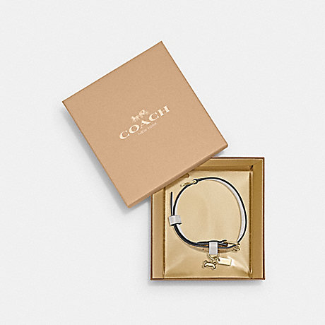 COACH CH154 Boxed Large Pet Collar In Signature Canvas Gold/Light-Khaki-Chalk