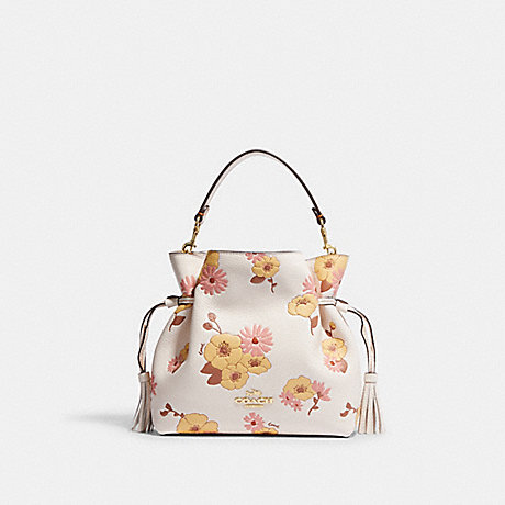 COACH CH349 Andy Crossbody With Floral Cluster Print Gold/Chalk-Multi