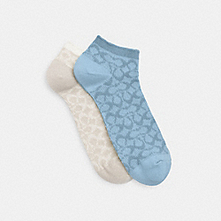 Signature Ankle Socks - CH395 - Pobrass/Chalk