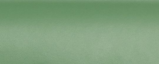 DISNEY X COACH STUDIO MICKEY MOUSE 與澆花器圖樣單肩手袋