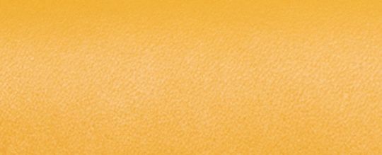 DISNEY X COACH STUDIO MICKEY MOUSE 與蟲蟲單肩手袋