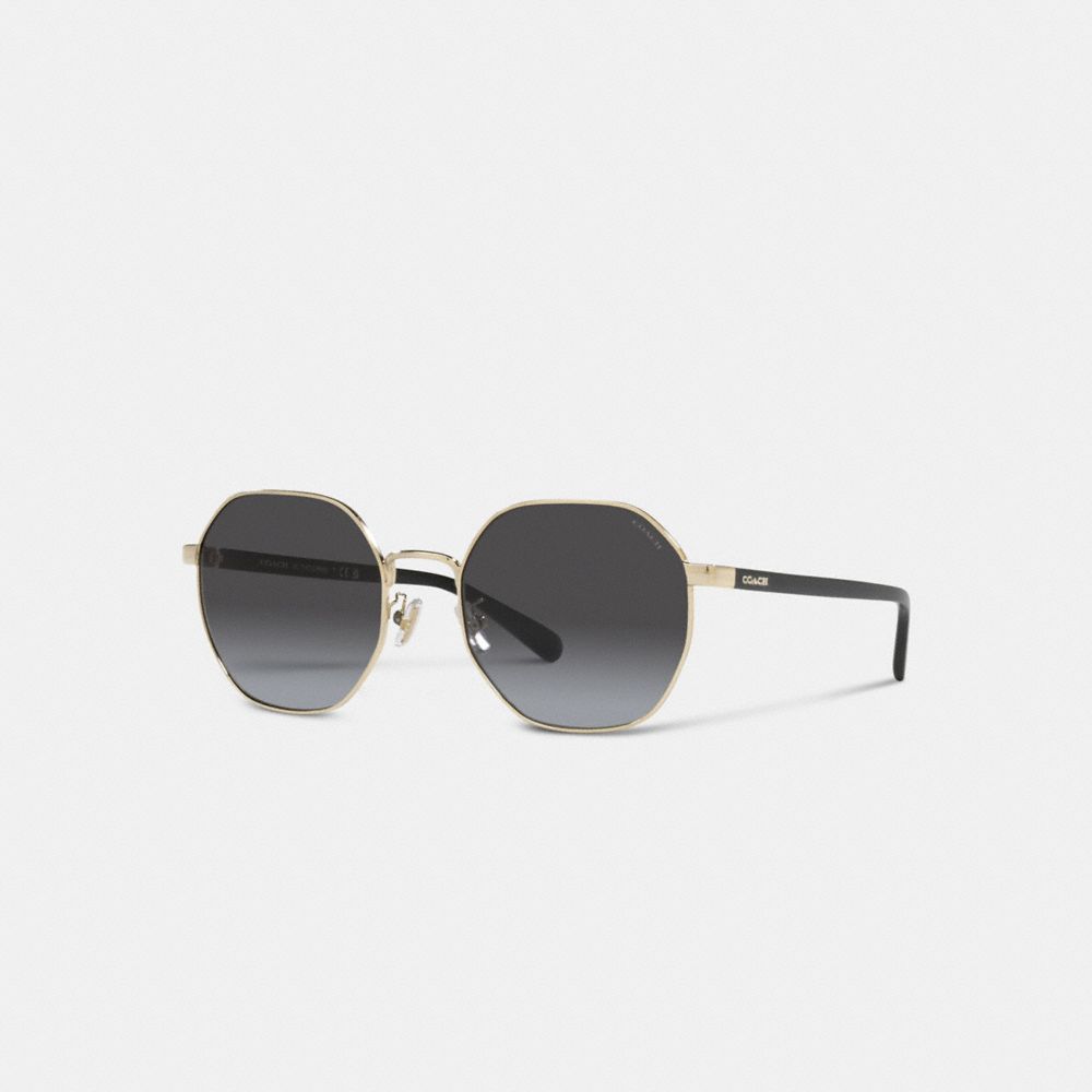 COACH CH556 Metal Hexagon Sunglasses Black