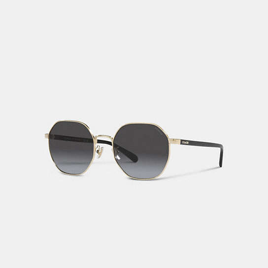 CH556 - Metal Hexagon Sunglasses Black