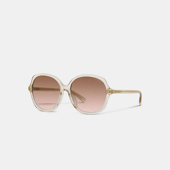 CH557 - Oversized Round Sunglasses Transparent Fawn