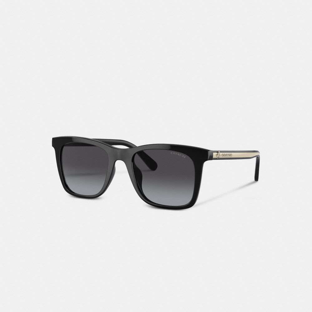 COACH CH561 Disney X Coach Striped Square Sunglasses Black/Ivory