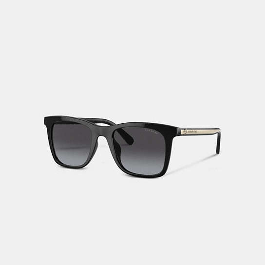 CH561 - Disney X Coach Striped Square Sunglasses Black/Ivory