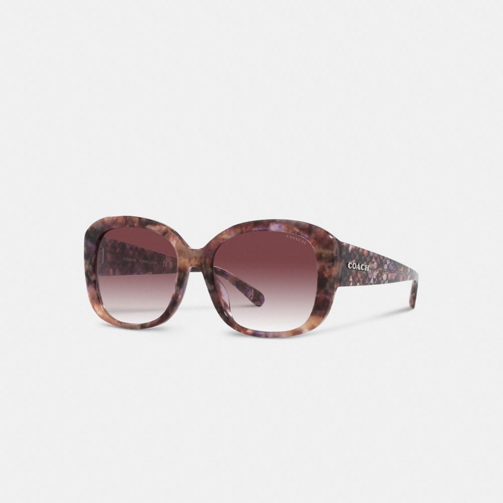 CH564 - Signature Oversized Square Sunglasses Purple Tortoise