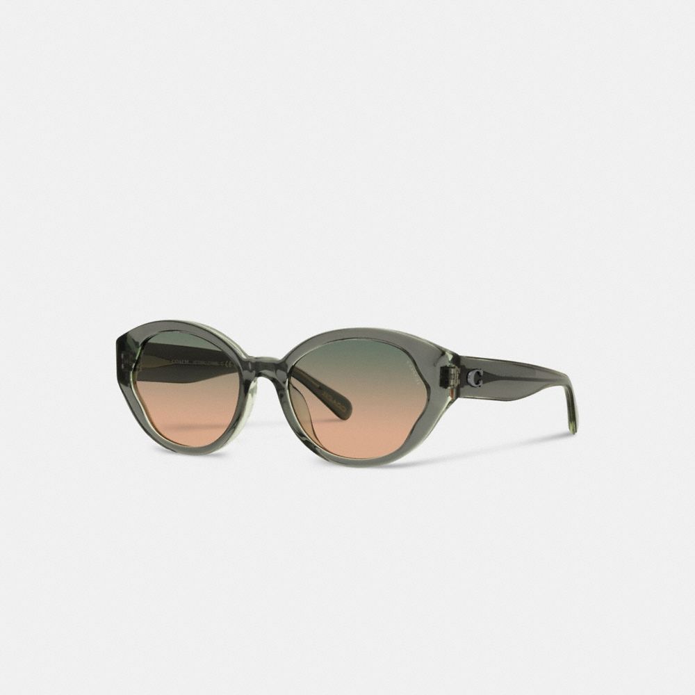 COACH CH569 Beveled Signature Petal Round Sunglasses Transparent Green