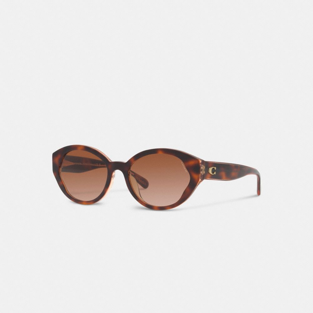 COACH CH569 Beveled Signature Petal Round Sunglasses Tortoise/ Transparent Pink