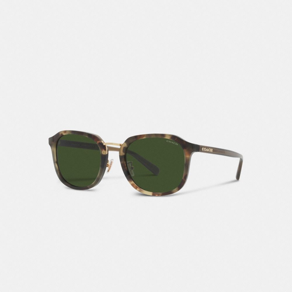 COACH CH577 Rounded Geometric Sunglasses Green Tortoise