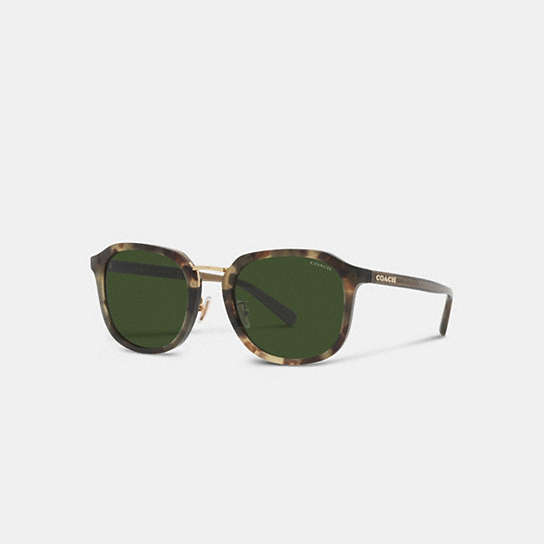 CH577 - Rounded Geometric Sunglasses Green Tortoise