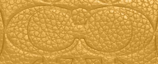 GOTHAM DUFFLE 24 經典 SIGNATURE 皮革手袋