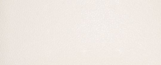 C201 低筒休閒鞋