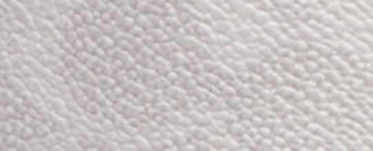 C201 經典 SIGNATURE 帆布低筒休閒鞋