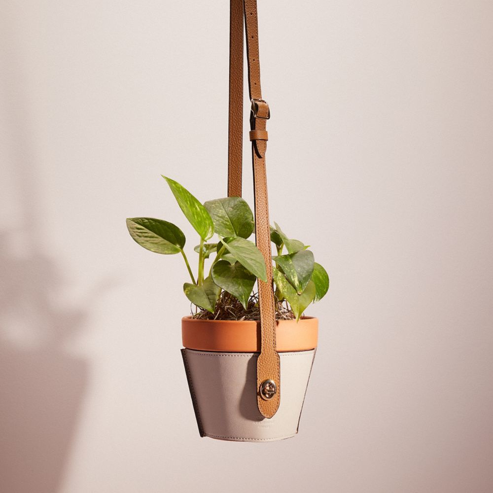CI238 - Remade Hanging Plant Pot Holder NUDE MULTI