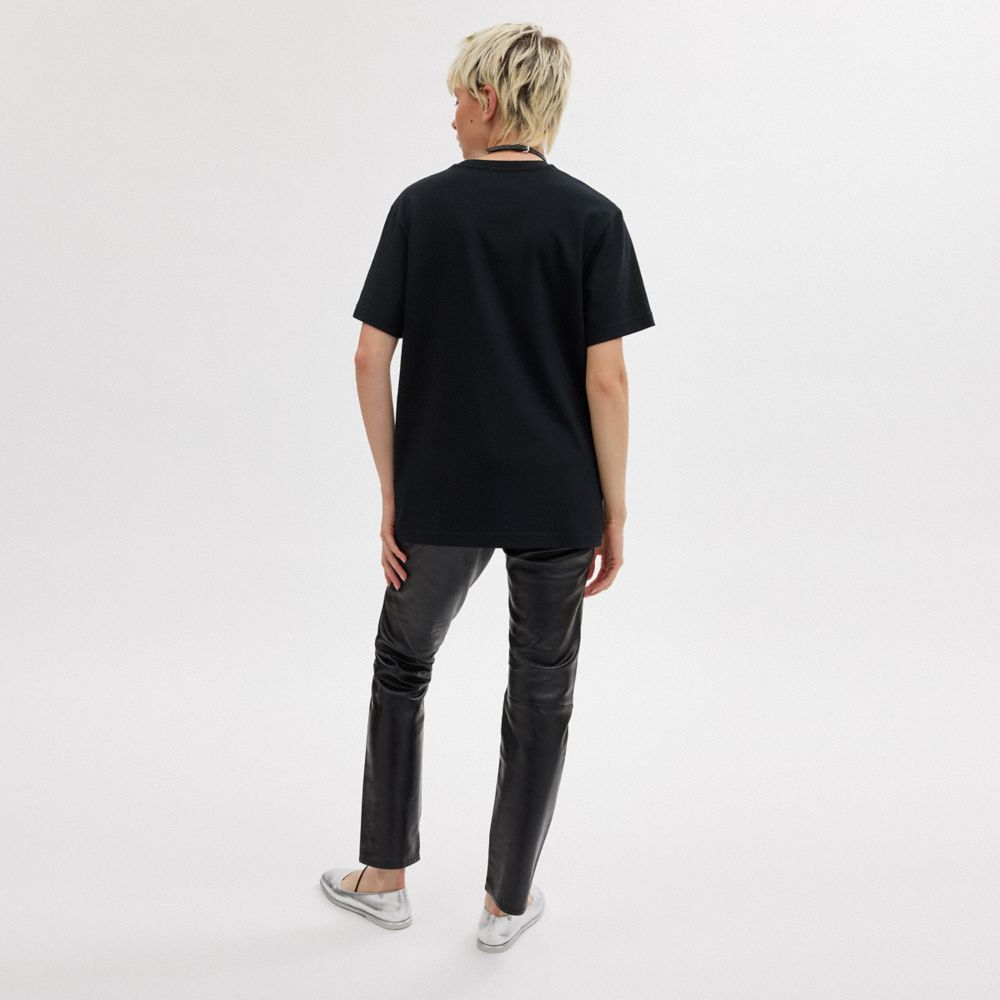 HORSE AND CARRIAGE T-SHIRT