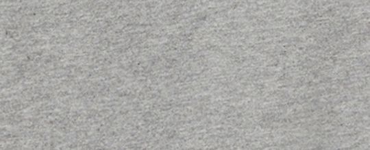 馬車主題圖案 T-SHIRT