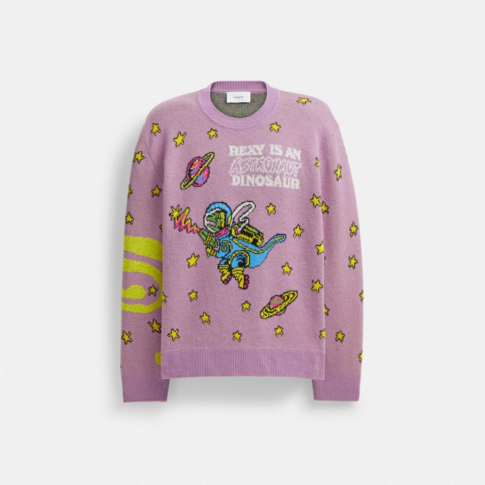 Coach shop dinosaur jumper