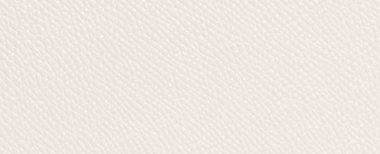 TOTE 16 經典 SIGNATURE 帆布襯裡托特手袋