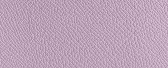 TOTE 16 經典 SIGNATURE 帆布襯裡托特手袋