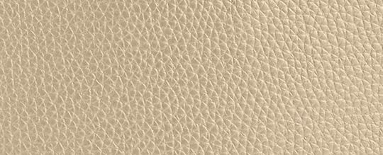 BECK 捲口後背包