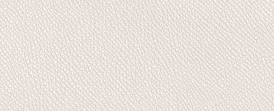 HOBO CROSSBODY WITH SIGNATURE CANVAS INTERIOR-Chalk