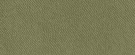 MESSENGER 經典 SIGNATURE 帆布襯裡手袋