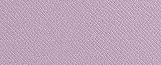 MESSENGER 經典 SIGNATURE 帆布襯裡手袋