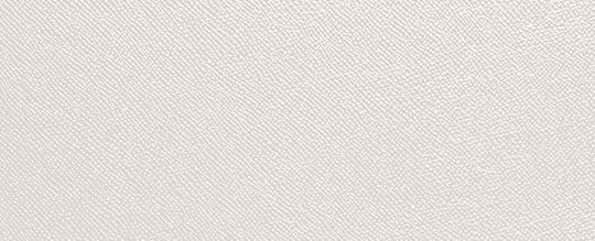 TOTE 40 經典 SIGNATURE 帆布襯裡托特手袋