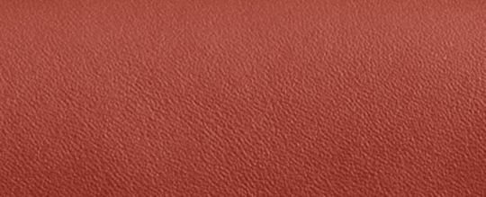 TABBY WRISTLET IN SIGNATURE CANVAS