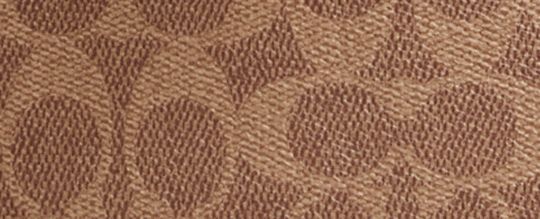 CARTER CARRYALL 28 經典 SIGNATURE 帆布手袋