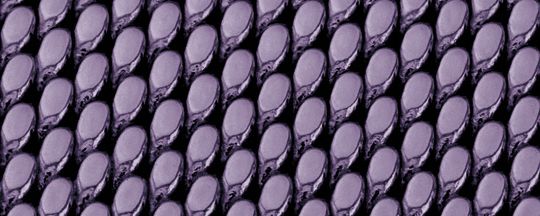 GREYSON 手錶，36毫米