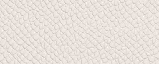 CARD CASE-Chalk