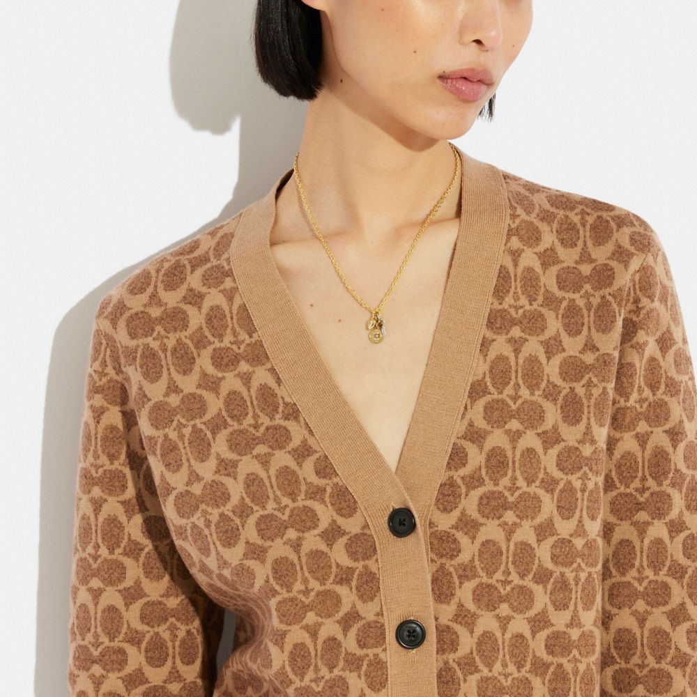 經典 SIGNATURE 硬幣鏈條手鍊