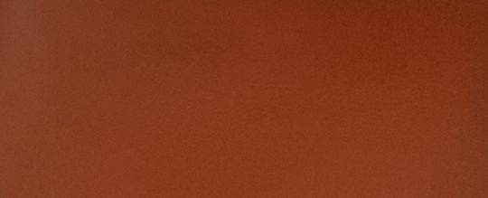 HITCH 大型馬車主題圖案印花後背包