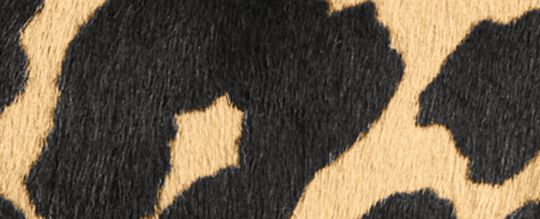 ROGUE 12 豹紋印花頂部提把手袋