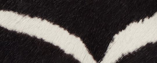 ROGUE 12 斑馬紋印花手袋