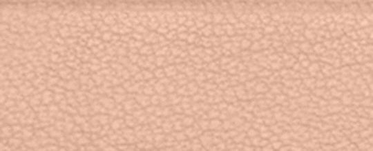 ESSENTIAL CARD CASE WITH PILLOW QUILTING