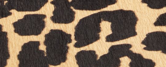 BANDIT 豹紋印花單肩手袋