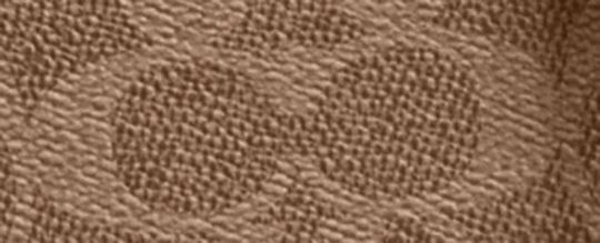 REXY 恐龍經典 SIGNATURE 帆布手袋