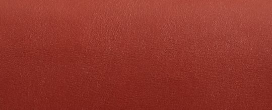 IDOL 經典 SIGNATURE 帆布蛇皮細節手袋