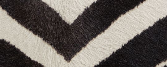 BANDIT 斑馬紋印花單肩手袋