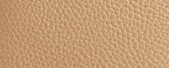 LANA 23 撞色手袋