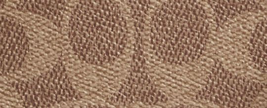 SWING ZIP 經典 SIGNATURE 帆布手袋