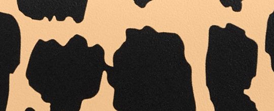 WYN 豹紋印花小型皮夾