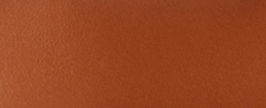 FIELD 22 大型馬車主題圖案印花托特手袋