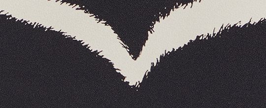 斑馬紋印花雙摺皮夾