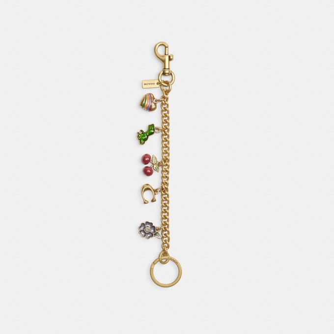 Coach Motif Chain Bag Charm